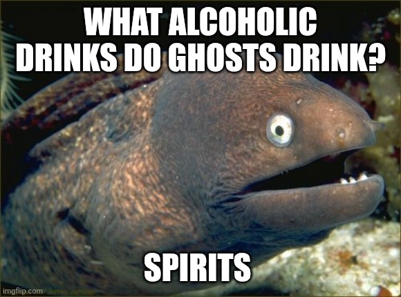 Bad Joke Eel | WHAT ALCOHOLIC DRINKS DO GHOSTS DRINK? SPIRITS | image tagged in memes,bad joke eel,ghosts,halloween,spirits,drinks | made w/ Imgflip meme maker