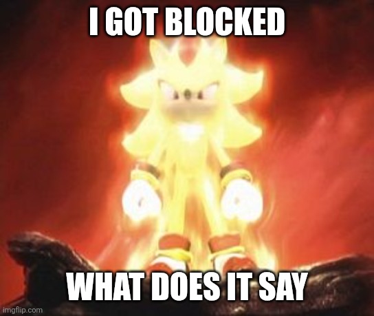 Super Shadow | I GOT BLOCKED WHAT DOES IT SAY | image tagged in super shadow | made w/ Imgflip meme maker