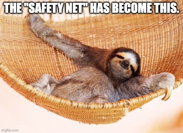 sloth hammock | THE "SAFETY NET" HAS BECOME THIS. | image tagged in sloth hammock | made w/ Imgflip meme maker