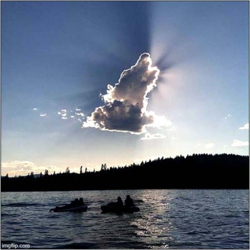 Nice Cloud ! | image tagged in dogs,cloud | made w/ Imgflip meme maker