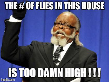 Too Damn High Meme | THE # OF FLIES IN THIS HOUSE IS TOO DAMN HIGH ! ! ! | image tagged in memes,too damn high | made w/ Imgflip meme maker