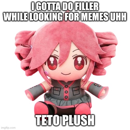 gotta find/make some memes frfr | I GOTTA DO FILLER WHILE LOOKING FOR MEMES UHH; TETO PLUSH | image tagged in teto plush | made w/ Imgflip meme maker