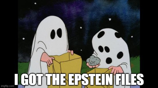 Charlie Brown Halloween Rock | I GOT THE EPSTEIN FILES | image tagged in charlie brown halloween rock | made w/ Imgflip meme maker