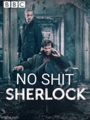 No shit Sherlock | image tagged in no shit sherlock | made w/ Imgflip meme maker