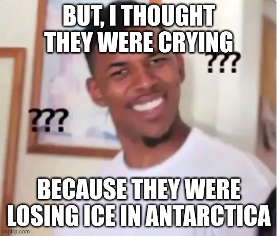 Nick Young | BUT, I THOUGHT THEY WERE CRYING BECAUSE THEY WERE LOSING ICE IN ANTARCTICA | image tagged in nick young | made w/ Imgflip meme maker