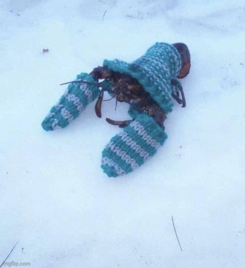 Itz cold outside. | made w/ Imgflip meme maker