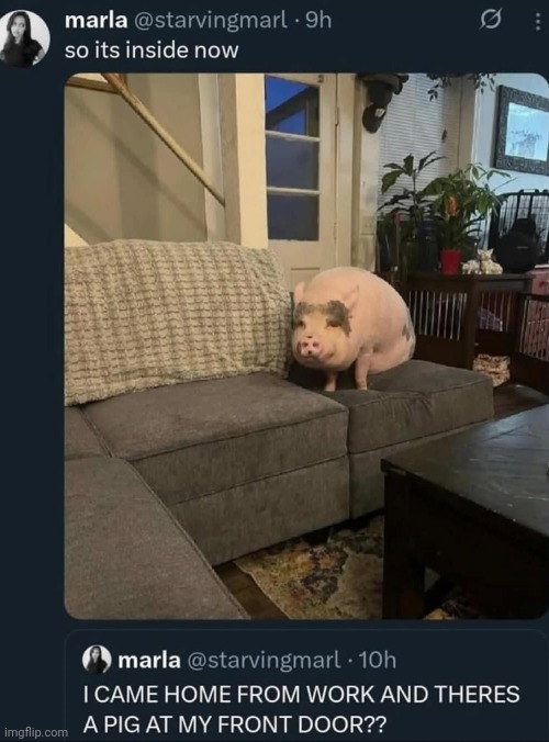 Hez so adorable omg | made w/ Imgflip meme maker