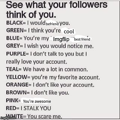 See what your followers think of you | befriend; cool; best friend; You're awesome | image tagged in see what your followers think of you | made w/ Imgflip meme maker