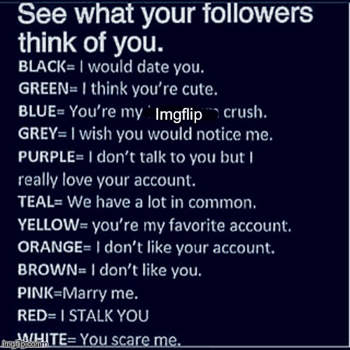 See what your followers think of you | image tagged in see what your followers think of you | made w/ Imgflip meme maker