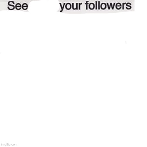 see your followers | image tagged in see your followers | made w/ Imgflip meme maker