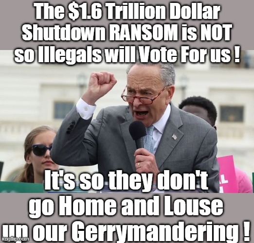 Turned Gerrymandering into an Art Form | The $1.6 Trillion Dollar Shutdown RANSOM is NOT so Illegals will Vote For us ! It's so they don't go Home and Louse up our Gerrymandering ! | image tagged in schumer shutdown ransom gerrymandering meme | made w/ Imgflip meme maker