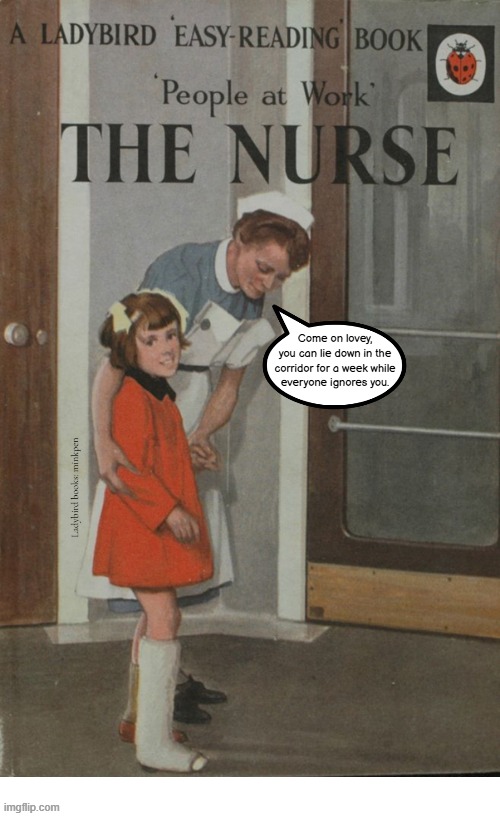 Hmmm | Come on lovey,
you can lie down in the
corridor for a week while
everyone ignores you. Ladybird books: minkpen | image tagged in ladybird,nhs,healthcare,children,doctor,nurse | made w/ Imgflip meme maker