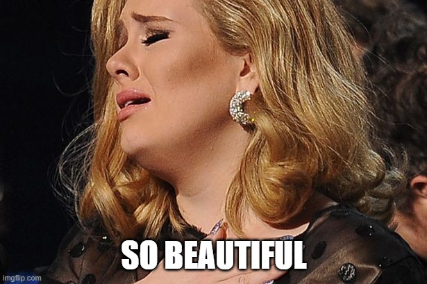 Adele So Beautiful | SO BEAUTIFUL | image tagged in adele so beautiful | made w/ Imgflip meme maker