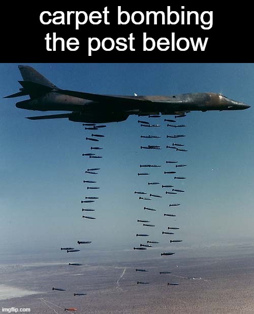 . | carpet bombing the post below | image tagged in carpet bombing tora-bora | made w/ Imgflip meme maker