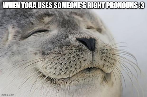 Satisfied Seal Meme | WHEN TOAA USES SOMEONE'S RIGHT PRONOUNS :3 | image tagged in memes,satisfied seal | made w/ Imgflip meme maker