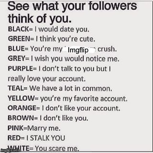 See what your followers think of you | image tagged in see what your followers think of you | made w/ Imgflip meme maker