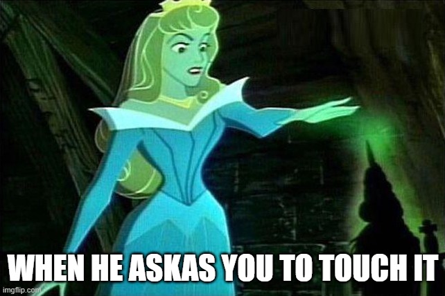 Touch It | WHEN HE ASKAS YOU TO TOUCH IT | image tagged in sex jokes | made w/ Imgflip meme maker