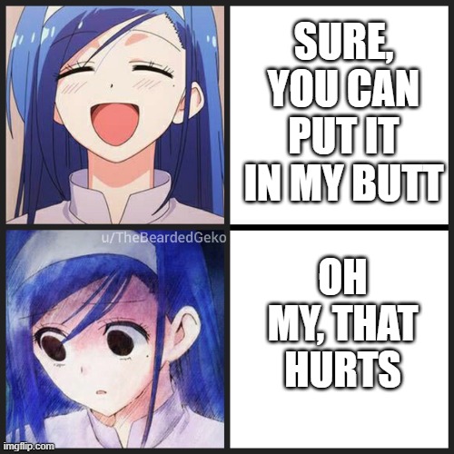The Realization | SURE, YOU CAN PUT IT IN MY BUTT; OH MY, THAT HURTS | image tagged in distressed fumino 2 panel | made w/ Imgflip meme maker
