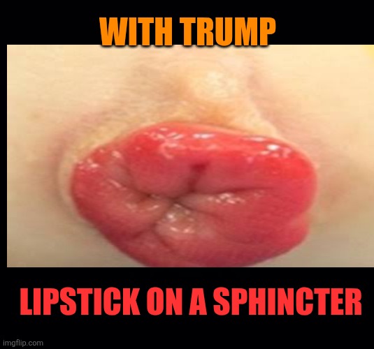 WITH TRUMP LIPSTICK ON A SPHINCTER | image tagged in black background | made w/ Imgflip meme maker
