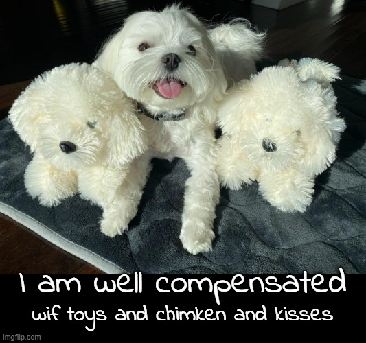 wif toys and chimken and kisses I am well compensated | made w/ Imgflip meme maker