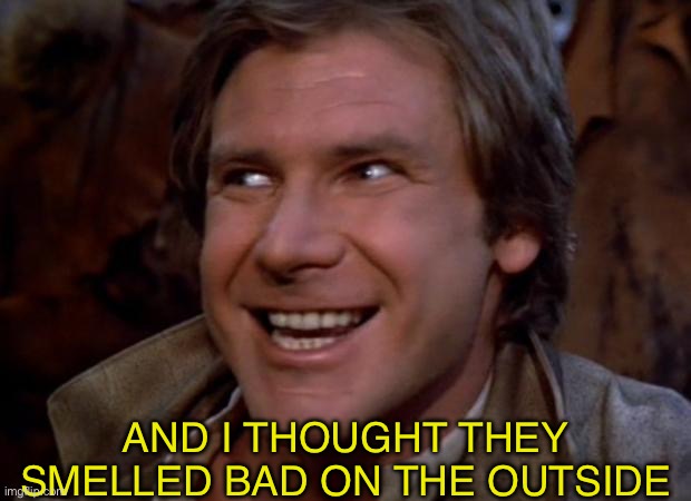 Han Solo Troll | AND I THOUGHT THEY SMELLED BAD ON THE OUTSIDE | image tagged in han solo troll | made w/ Imgflip meme maker