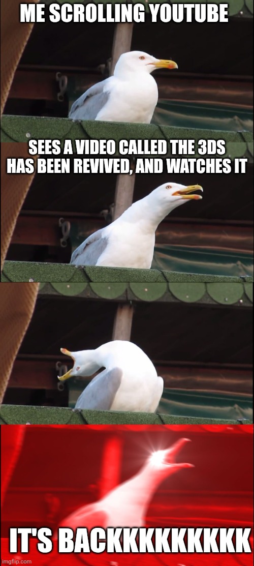 YEAH BABYYYYYYY | ME SCROLLING YOUTUBE; SEES A VIDEO CALLED THE 3DS HAS BEEN REVIVED, AND WATCHES IT; IT'S BACKKKKKKKKK | image tagged in memes,inhaling seagull,3ds,its true,mod | made w/ Imgflip meme maker