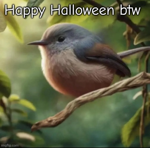 No balls | Happy Halloween btw | image tagged in no balls | made w/ Imgflip meme maker