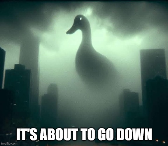 Oh Quack! | IT'S ABOUT TO GO DOWN | image tagged in ducks | made w/ Imgflip meme maker