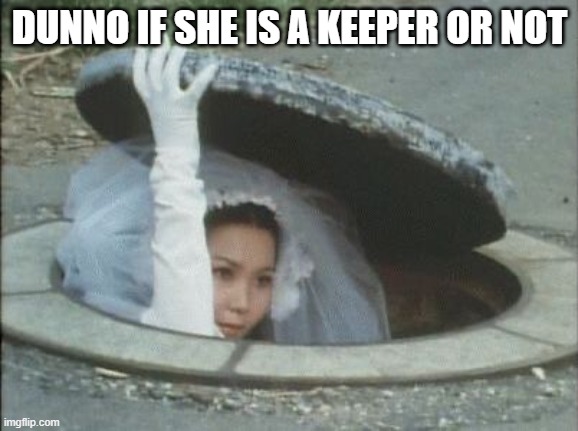 Sewer Wife | DUNNO IF SHE IS A KEEPER OR NOT | image tagged in funny,memes | made w/ Imgflip meme maker