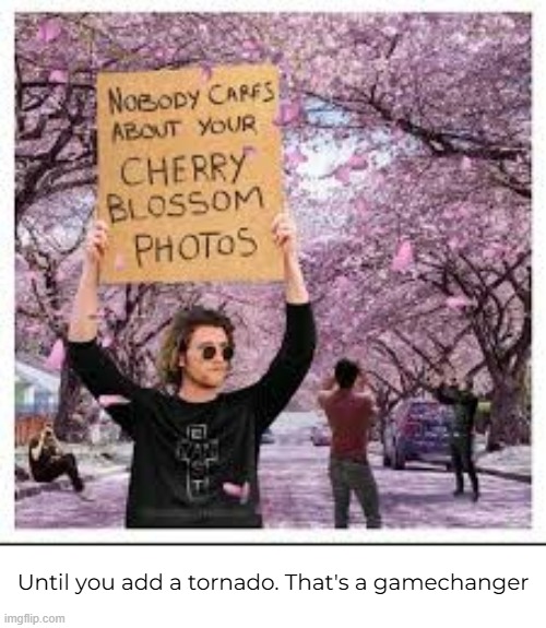 Until you add a tornado. That's a gamechanger | made w/ Imgflip meme maker