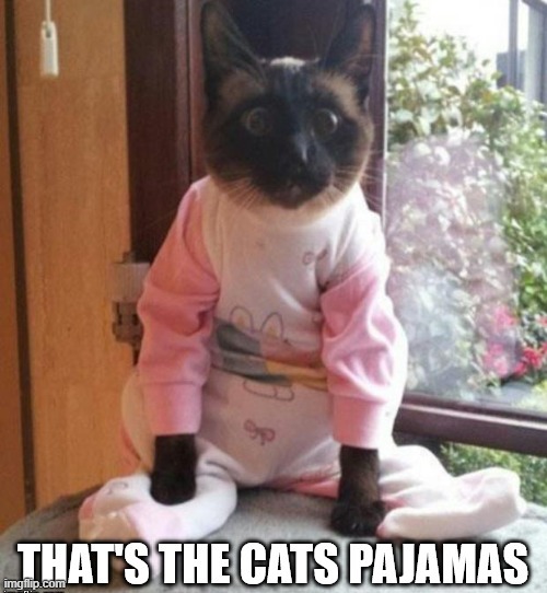 image tagged in nice | made w/ Imgflip meme maker