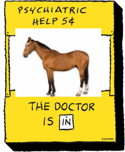 Therapy Horse Blank Meme Template