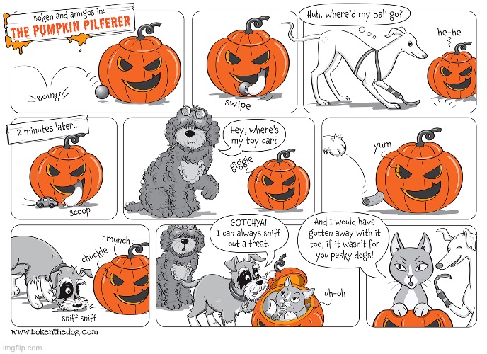 Boken (the Dog) | image tagged in comics,boken and amigos,pumpkin,thief,cat,dogs | made w/ Imgflip meme maker