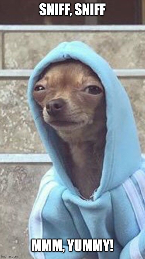 Why do you sniff my butt | SNIFF, SNIFF MMM, YUMMY! | image tagged in why do you sniff my butt | made w/ Imgflip meme maker