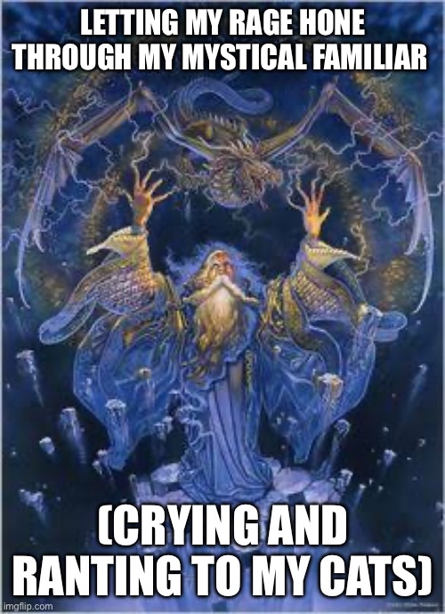 Mine familiars | LETTING MY RAGE HONE THROUGH MY MYSTICAL FAMILIAR; (CRYING AND RANTING TO MY CATS) | image tagged in wizard | made w/ Imgflip meme maker