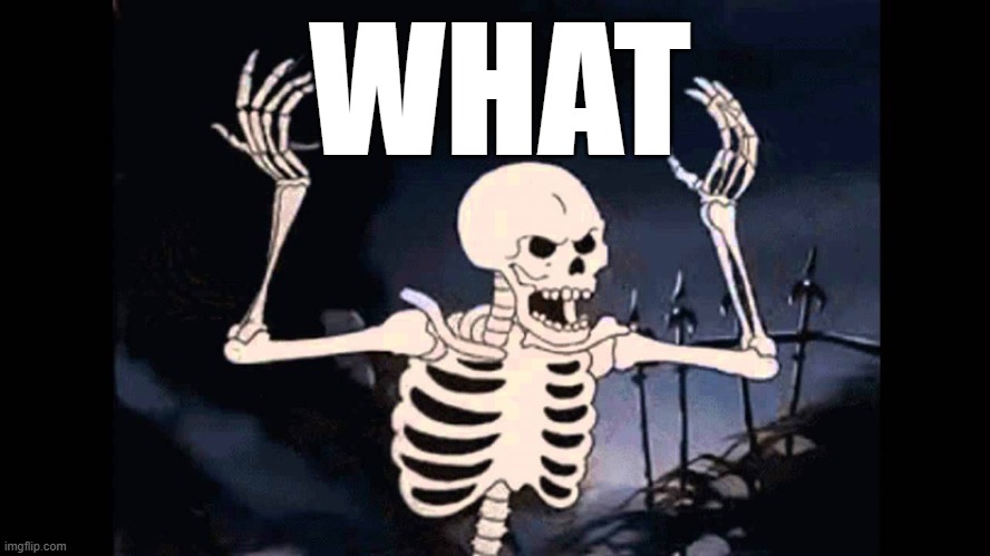 Spooky Skeleton | WHAT | image tagged in spooky skeleton | made w/ Imgflip meme maker