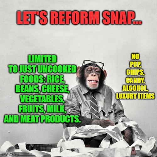Monkey accountant | LIMITED TO JUST UNCOOKED FOODS: RICE, BEANS, CHEESE, VEGETABLES, FRUITS, MILK, AND MEAT PRODUCTS. NO POP, CHIPS, CANDY, ALCOHOL, LUXURY ITEMS; LET'S REFORM SNAP... | image tagged in monkey accountant | made w/ Imgflip meme maker