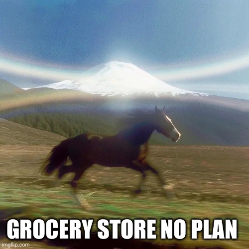 grocery store no plan | GROCERY STORE NO PLAN | image tagged in running horse past mountain | made w/ Imgflip meme maker