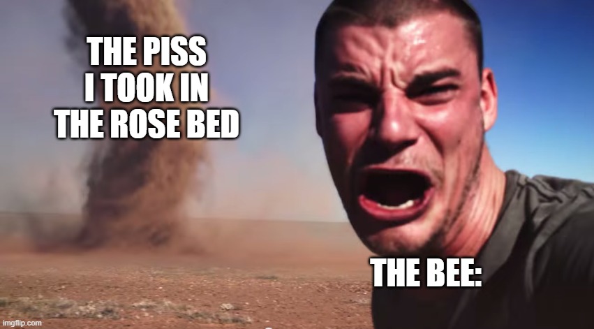Yea, the bee is cooked | THE PISS I TOOK IN THE ROSE BED; THE BEE: | image tagged in here it comes,piss,bees | made w/ Imgflip meme maker