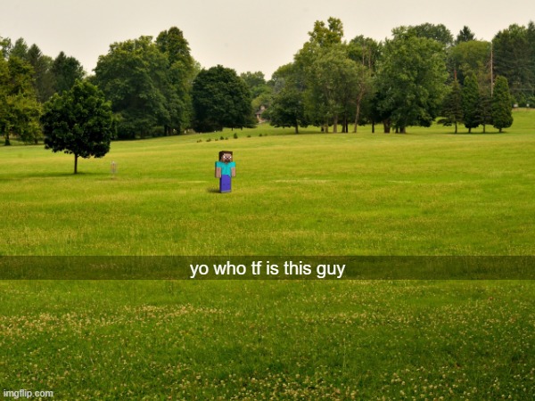 who's this guy | yo who tf is this guy | image tagged in memes,minecraft,minecraft steve,minecraft memes,real life | made w/ Imgflip meme maker
