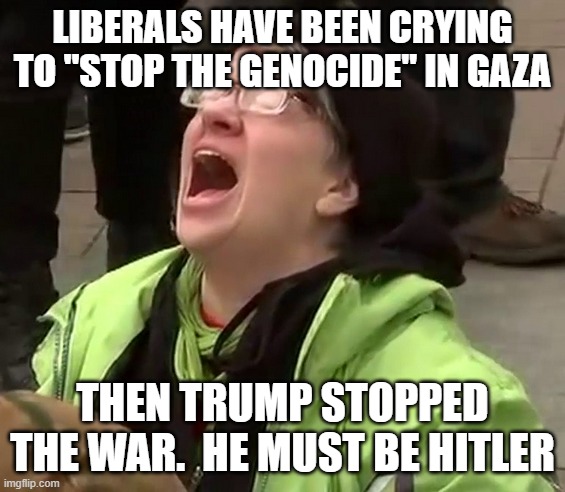 Crying liberal | LIBERALS HAVE BEEN CRYING TO "STOP THE GENOCIDE" IN GAZA THEN TRUMP STOPPED THE WAR.  HE MUST BE HITLER | image tagged in crying liberal | made w/ Imgflip meme maker