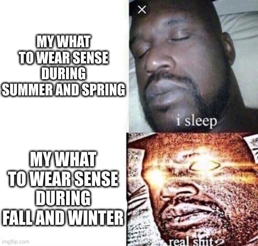 i sleep real shit | MY WHAT TO WEAR SENSE DURING SUMMER AND SPRING; MY WHAT TO WEAR SENSE DURING FALL AND WINTER | image tagged in i sleep real shit | made w/ Imgflip meme maker