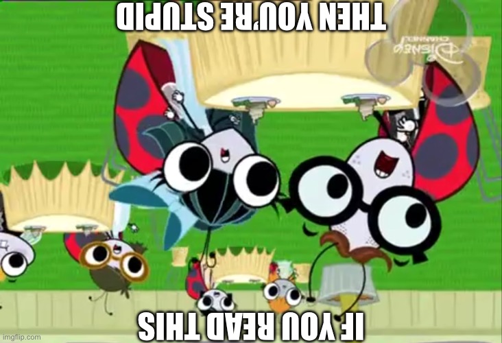 Upside down on purpose | THEN YOU’RE STUPID; IF YOU READ THIS | image tagged in group of flies 9,upside down,if you read this tag you are cursed,godzilla had a stroke trying to read this and fricking died | made w/ Imgflip meme maker