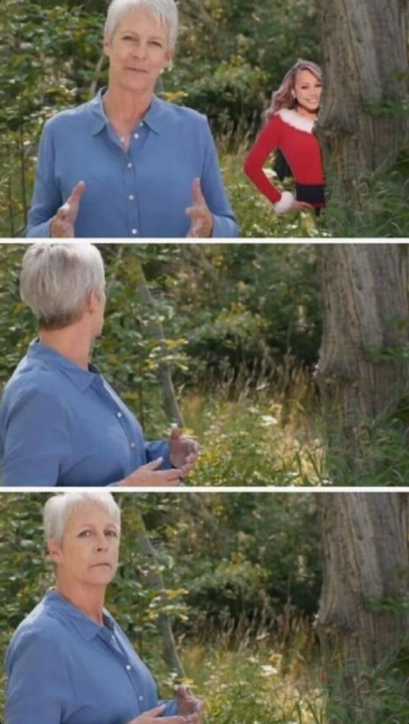 Mariah Peek Blank Meme Template