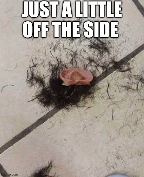 Just A Little Off The Side | JUST A LITTLE OFF THE SIDE | image tagged in chris joines | made w/ Imgflip meme maker