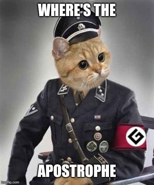 Grammar Nazi Cat | WHERE'S THE APOSTROPHE | image tagged in grammar nazi cat | made w/ Imgflip meme maker