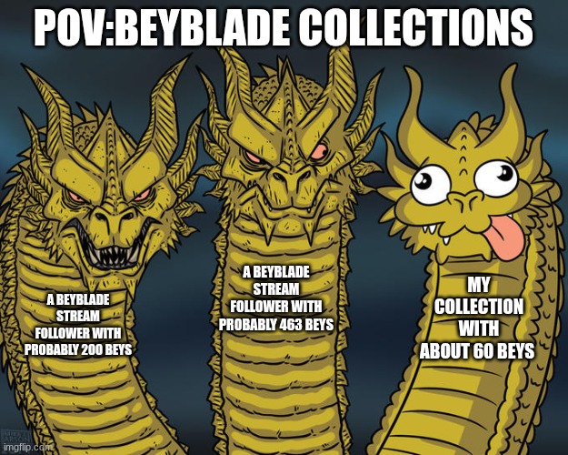 Three-headed Dragon | POV:BEYBLADE COLLECTIONS; A BEYBLADE STREAM FOLLOWER WITH PROBABLY 463 BEYS; MY COLLECTION WITH ABOUT 60 BEYS; A BEYBLADE STREAM FOLLOWER WITH PROBABLY 200 BEYS | image tagged in three-headed dragon | made w/ Imgflip meme maker