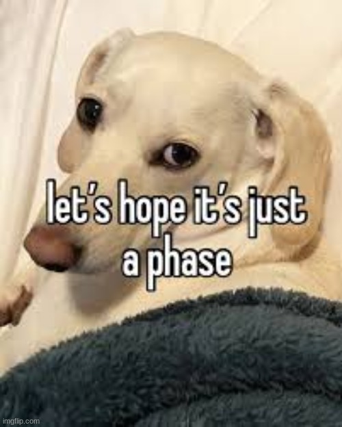 image tagged in let's hope it's just a phase | made w/ Imgflip meme maker