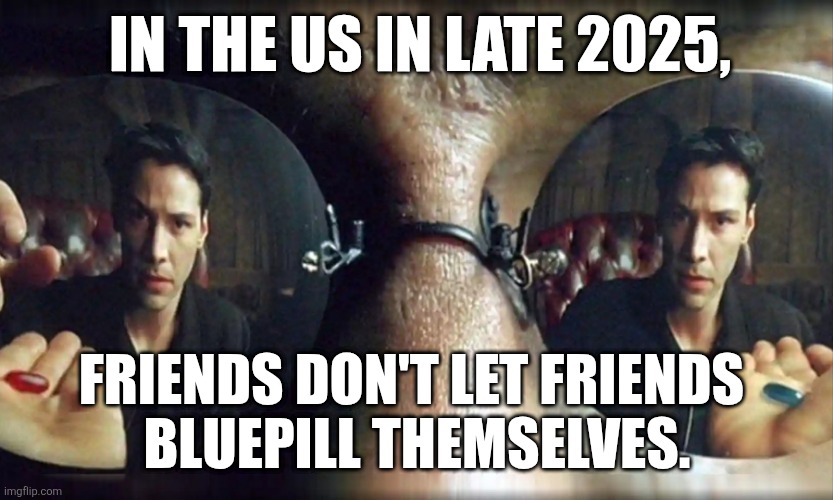 Friends Don't Let Friends | IN THE US IN LATE 2025, FRIENDS DON'T LET FRIENDS 
BLUEPILL THEMSELVES. | made w/ Imgflip meme maker