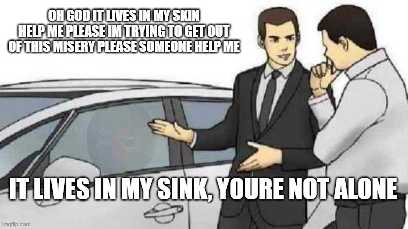 Funny meme compilation vine! | OH GOD IT LIVES IN MY SKIN HELP ME PLEASE IM TRYING TO GET OUT OF THIS MISERY PLEASE SOMEONE HELP ME; IT LIVES IN MY SINK, YOURE NOT ALONE | image tagged in memes,car salesman slaps roof of car | made w/ Imgflip meme maker